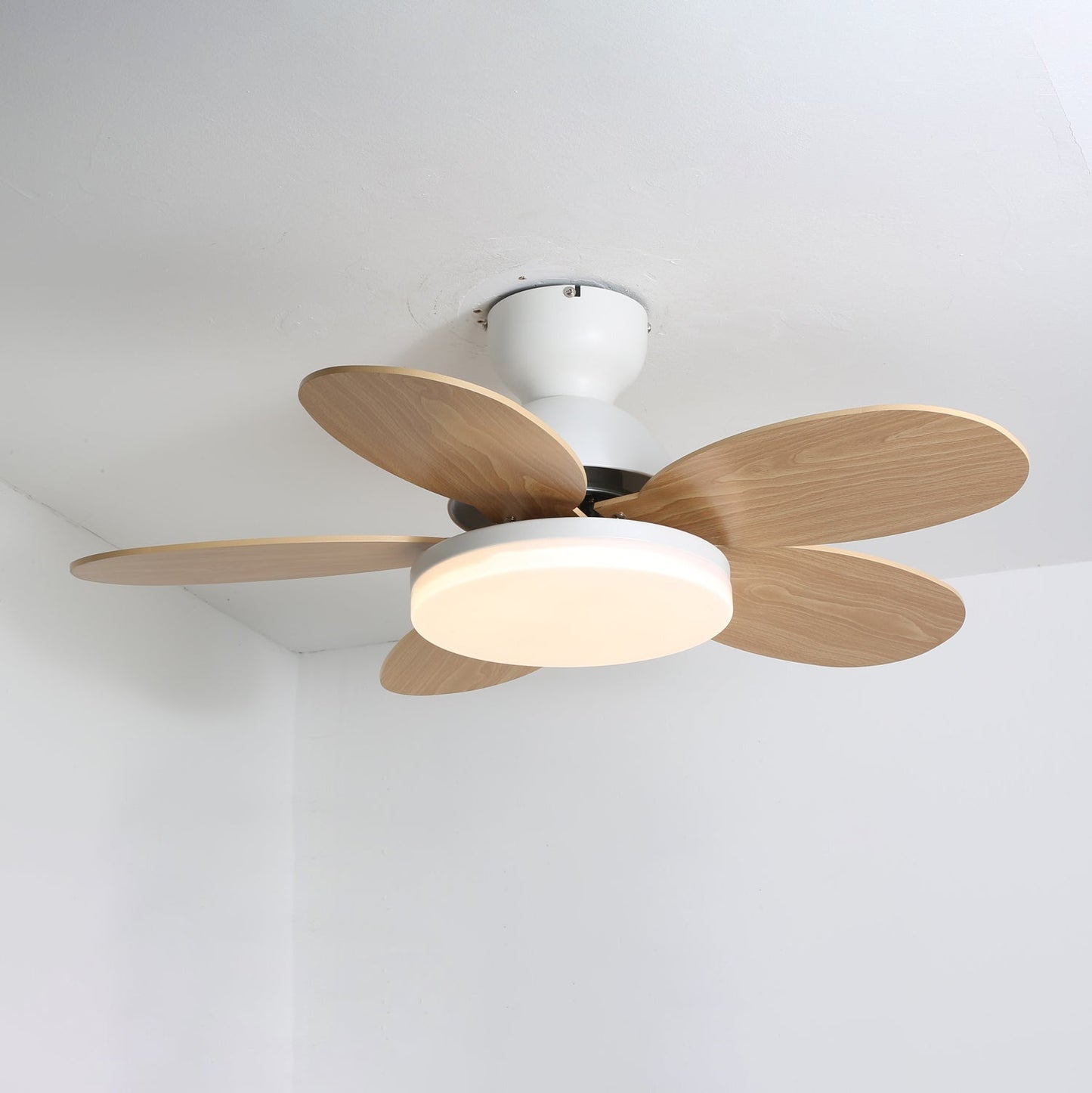 Elira – Floral Design Ceiling Fan Light